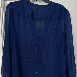Banana Republic Deep Blue Blouse